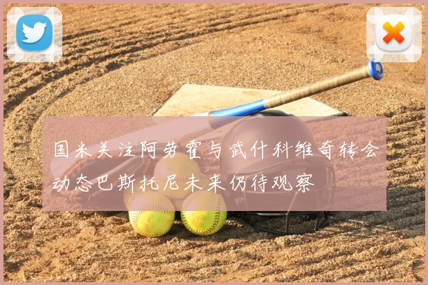 国米关注阿劳霍与武什科维奇转会动态巴斯托尼未来仍待观察