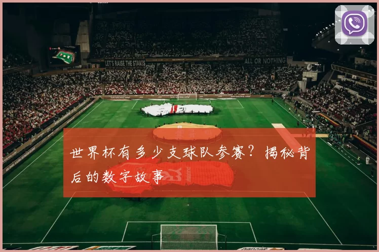 世界杯有多少支球队参赛？揭秘背后的数字故事