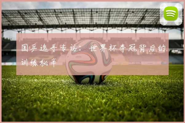 国乒选手专访：世界杯夺冠背后的训练秘辛
