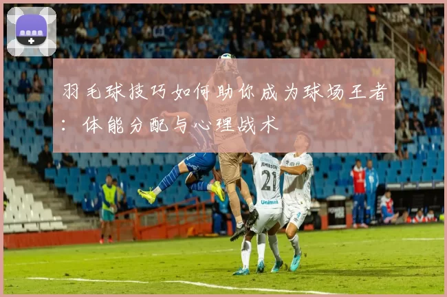 羽毛球技巧如何助你成为球场王者：体能分配与心理战术