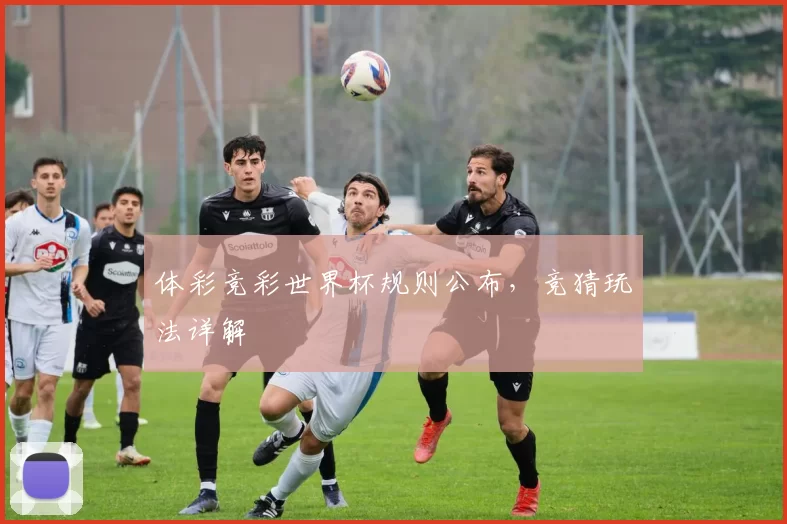 体彩竞彩世界杯规则公布，竞猜玩法详解