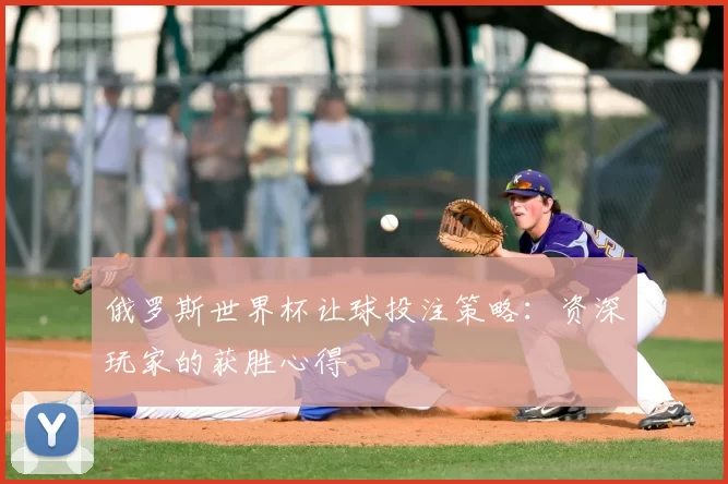 俄罗斯世界杯让球投注策略：资深玩家的获胜心得