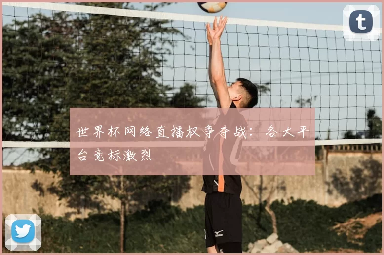 世界杯网络直播权争夺战：各大平台竞标激烈
