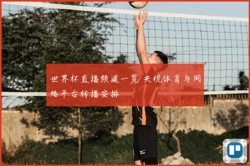 世界杯直播频道一览 央视体育与网络平台转播安排