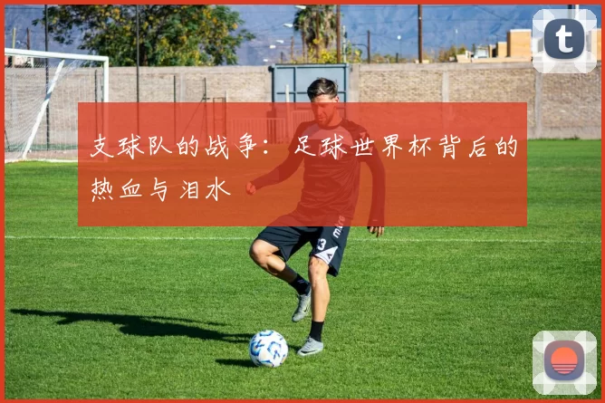 支球队的战争:足球世界杯背后的热血与泪水